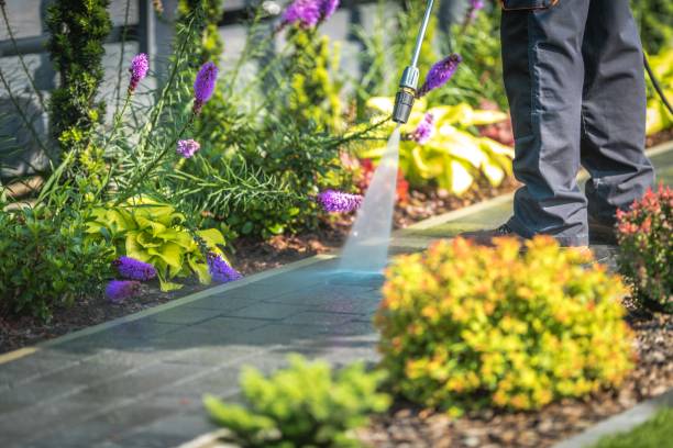 Best Winterizing Services  in Higginsville, MO