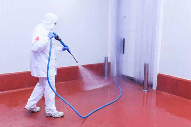 Best Restaurant Pressure Washing  in Higginsville, MO
