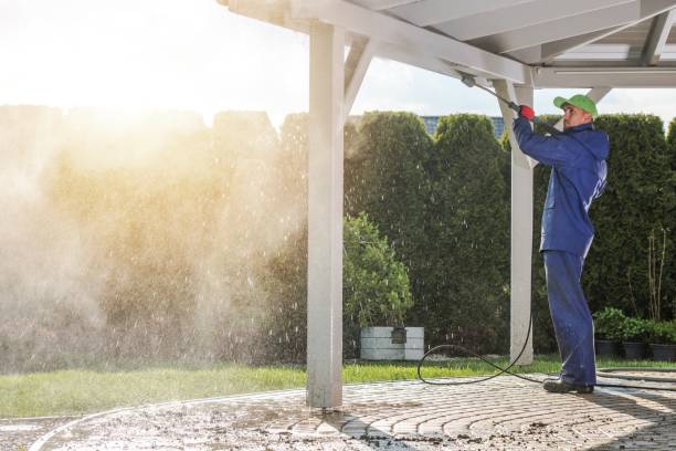 Best Sidewalk and Walkway Cleaning  in Higginsville, MO