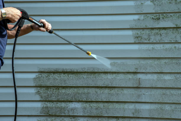 Best Rust Removal  in Higginsville, MO