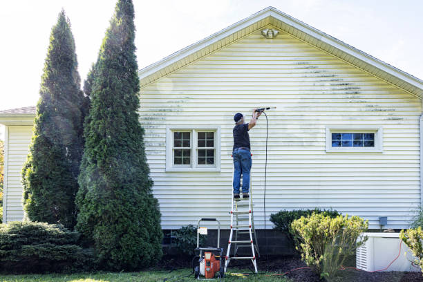 Best Fence Cleaning  in Higginsville, MO